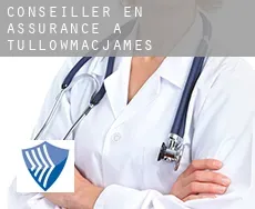 Conseiller en assurance à Tullowmacjames