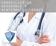 Conseiller en assurance à Wintermutes Corner