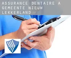 Assurance dentaire à Gemeente Nieuw-Lekkerland