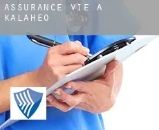 Assurance vie à Kalāheo
