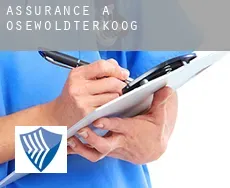 Assurance à  Osewoldterkoog