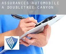 Assurances automobile à  Doubletree Canyon