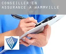 Conseiller en assurance à  Hammville