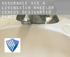 Assurance vie à  Livingston Wheeler