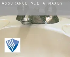 Assurance vie à  Maxey