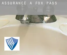 Assurance à  Fox Pass