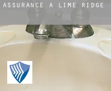 Assurance à  Lime Ridge