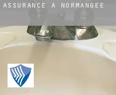 Assurance à Normangee