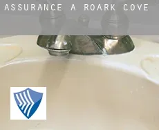 Assurance à  Roark Cove