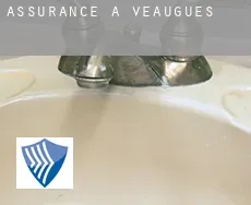 Assurance à Veaugues