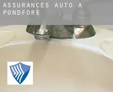 Assurances auto à  Pondfork