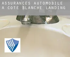 Assurances automobile à  Cote Blanche Landing