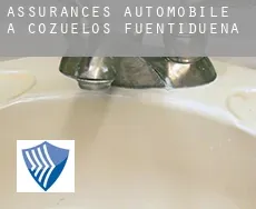 Assurances automobile à Cozuelos de Fuentidueña