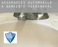 Assurances automobile à Gemeente Veenendaal
