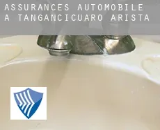Assurances automobile à  Tangancícuaro de Arista