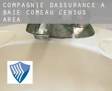 Compagnie d'assurance à  Baie-Comeau (census area)