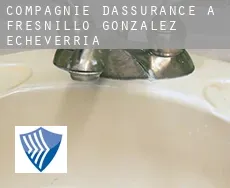 Compagnie d'assurance à  Fresnillo de González Echeverría