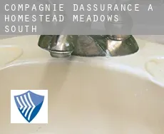 Compagnie d'assurance à  Homestead Meadows South