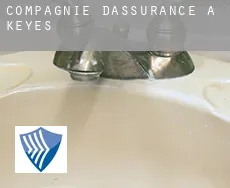 Compagnie d'assurance à  Keyes