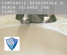 Compagnie d'assurance à  Peach Orchard Inn Farms