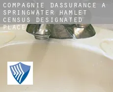 Compagnie d'assurance à  Springwater Hamlet
