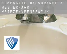 Compagnie d'assurance à  Westerhaar-Vriezenveensewijk