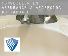 Conseiller en assurance à  Aparecida do Taboado