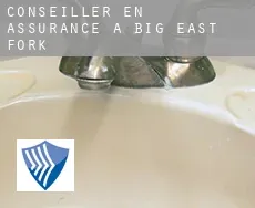 Conseiller en assurance à Big East Fork