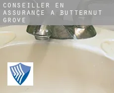 Conseiller en assurance à  Butternut Grove