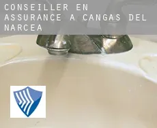 Conseiller en assurance à  Cangas del Narcea