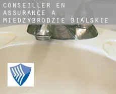 Conseiller en assurance à Międzybrodzie Bialskie