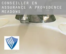 Conseiller en assurance à  Providence Meadows