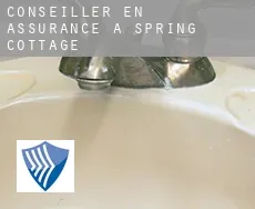 Conseiller en assurance à  Spring Cottage