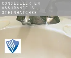 Conseiller en assurance à  Steinhatchee