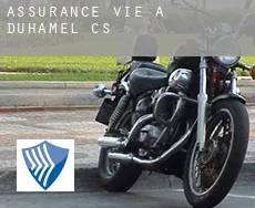Assurance vie à  Duhamel (census area)