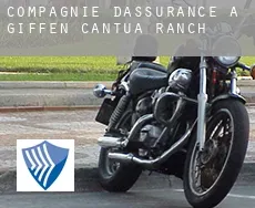 Compagnie d'assurance à  Giffen Cantua Ranch