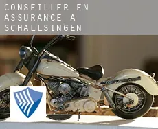 Conseiller en assurance à  Schallsingen