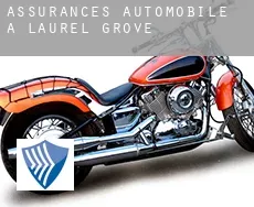 Assurances automobile à  Laurel Grove