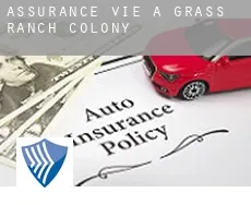 Assurance vie à  Grass Ranch Colony