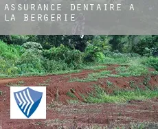 Assurance dentaire à La Bergerie