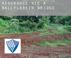 Assurance vie à  Ballylarkin Bridge