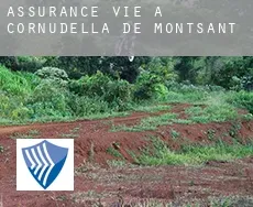 Assurance vie à  Cornudella de Montsant