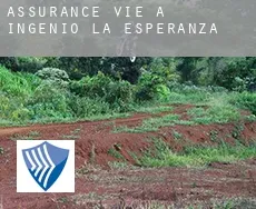 Assurance vie à  Ingenio La Esperanza