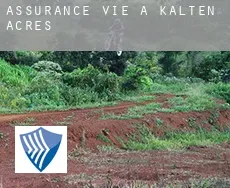 Assurance vie à  Kalten Acres