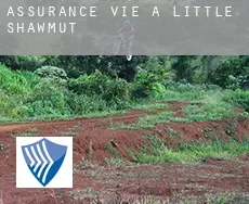 Assurance vie à Little Shawmut