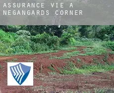 Assurance vie à  Negangards Corner
