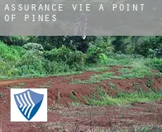 Assurance vie à Point of Pines