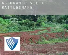 Assurance vie à  Rattlesnake