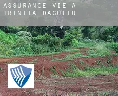 Assurance vie à  Trinità d'Agultu e Vignola