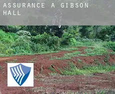 Assurance à  Gibson Hall